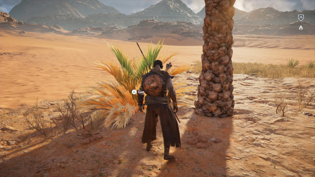 Assassin's Creed Origins - Emplacement Des Énigmes Papyrus Buisson Ardent Solution